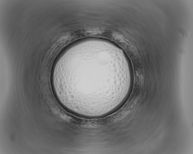 X0000112501393200908311442