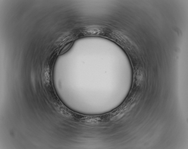 X0000112501394200908311442