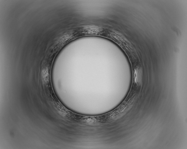 X0000112501395200908311442