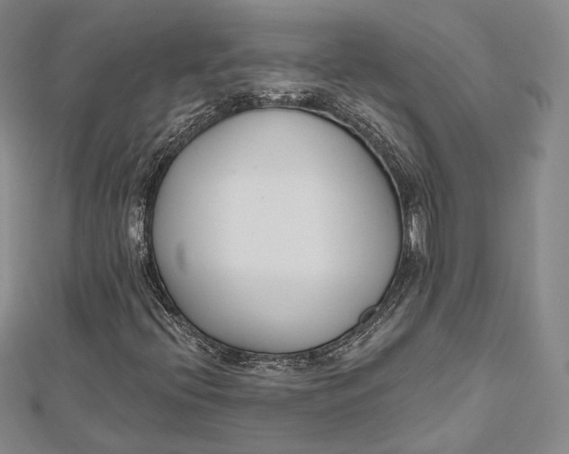 X0000112501396200908311442