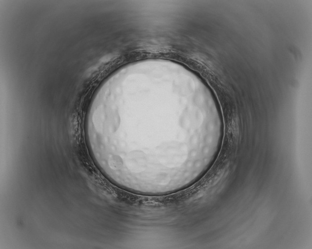 X0000112501398200908311442