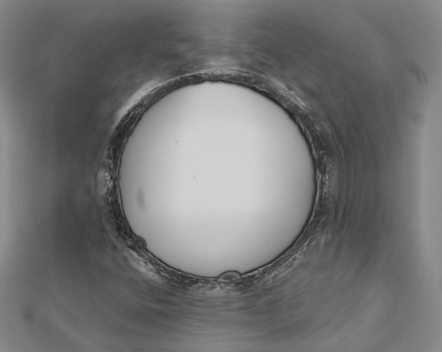 X0000112501400200908311442