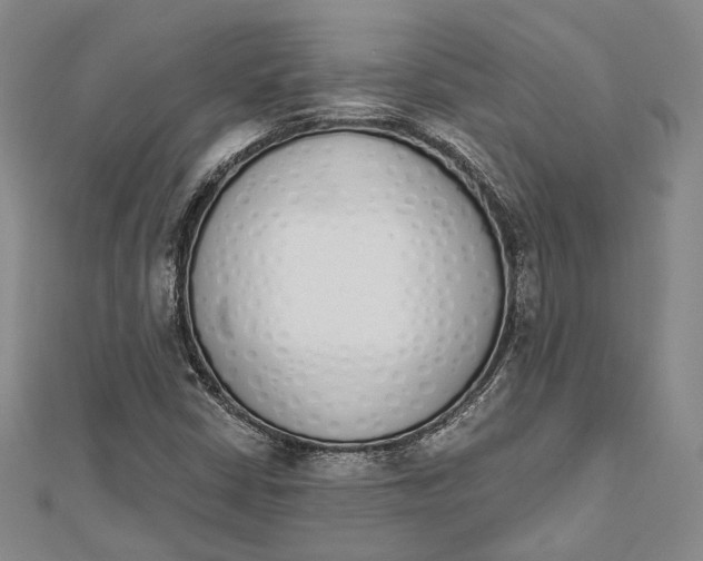 X0000112501402200908311443