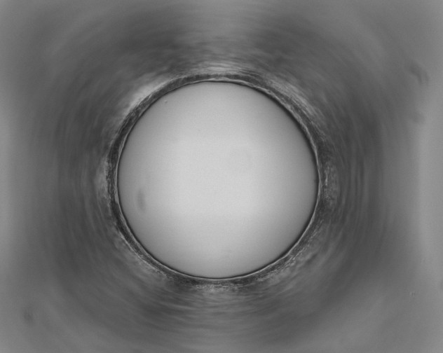 X0000112501404200908311443