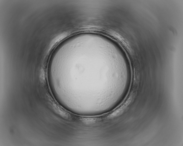 X0000112501405200908311443