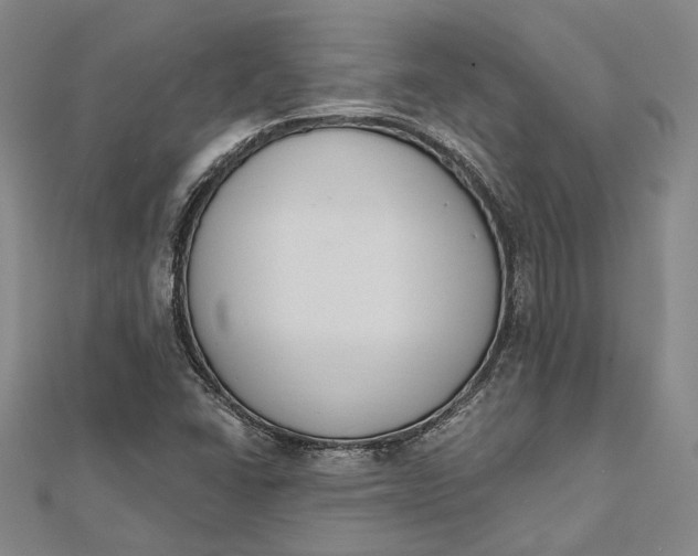 X0000112501406200908311443