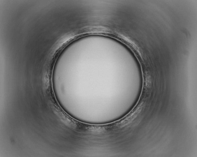 X0000112501407200908311443