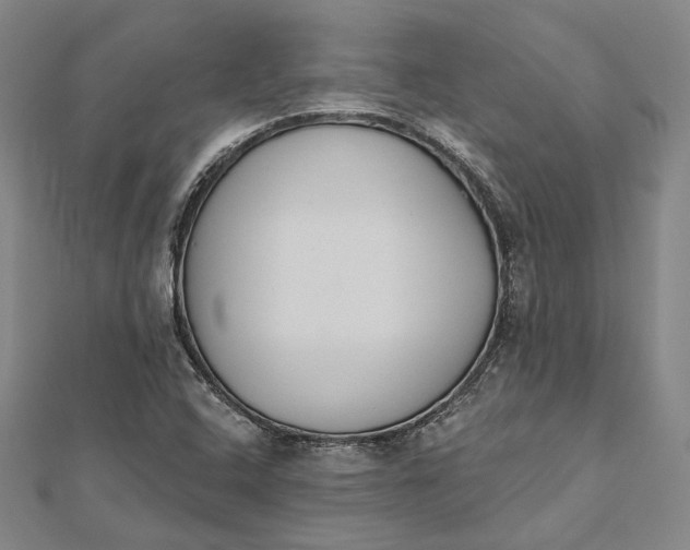 X0000112501408200908311443