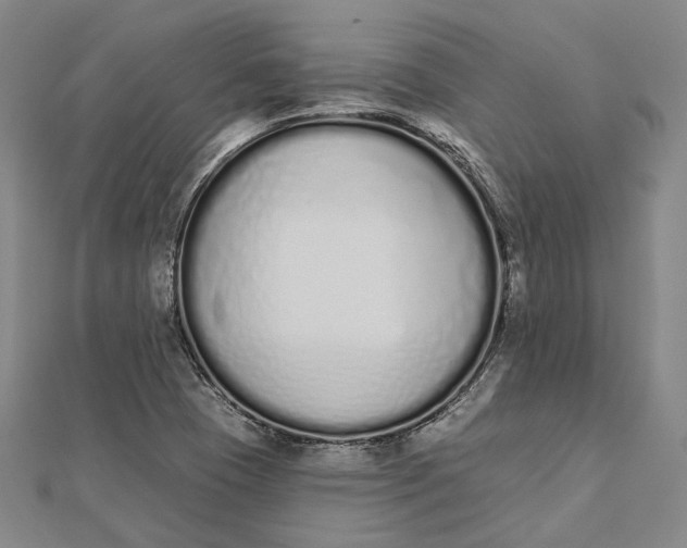 X0000112501409200908311443