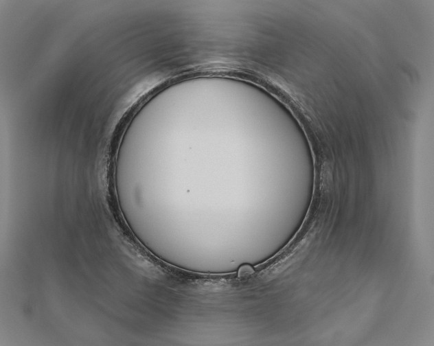 X0000112501410200908311443