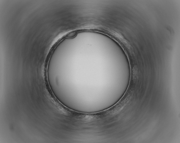 X0000112501412200908311443