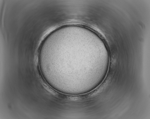 X0000112501413200908311443