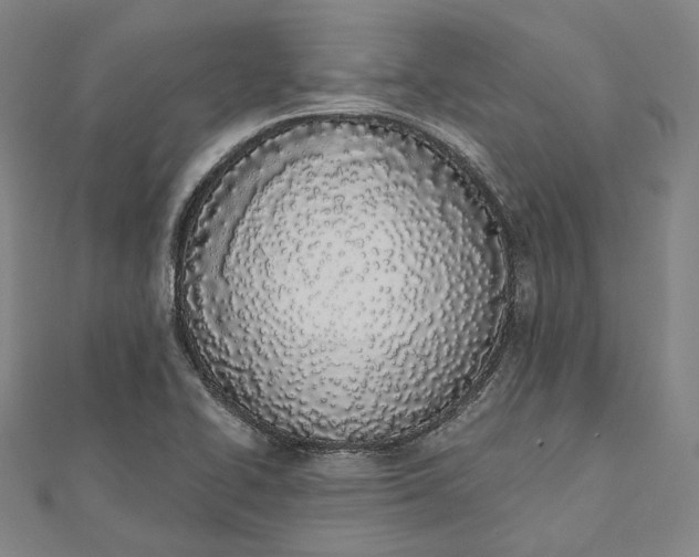 X0000112501414200908311443