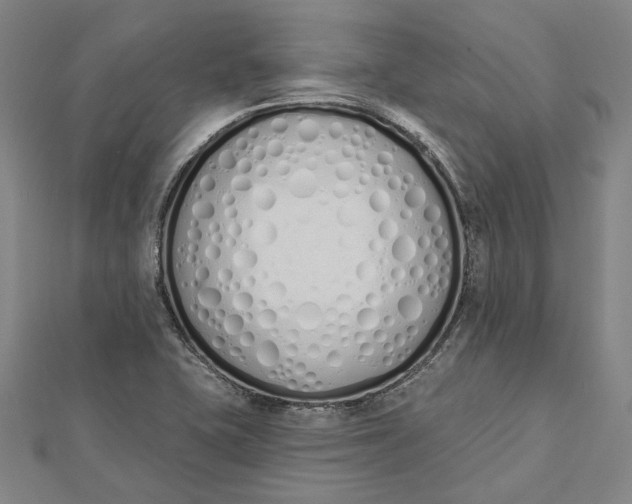 X0000112501415200908311443