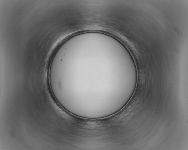 X0000112501416200908311443