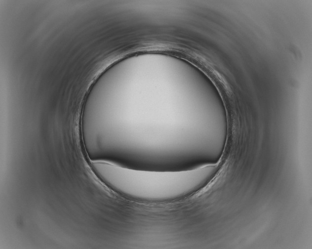 X0000112501417200908311443