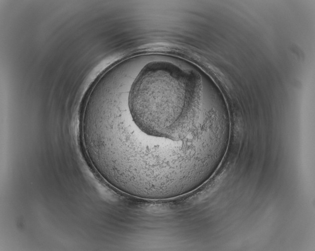 X0000112501418200908311443