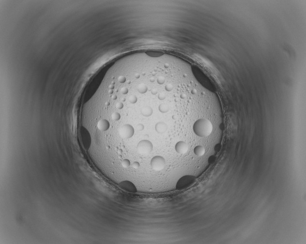 X0000112501419200908311443