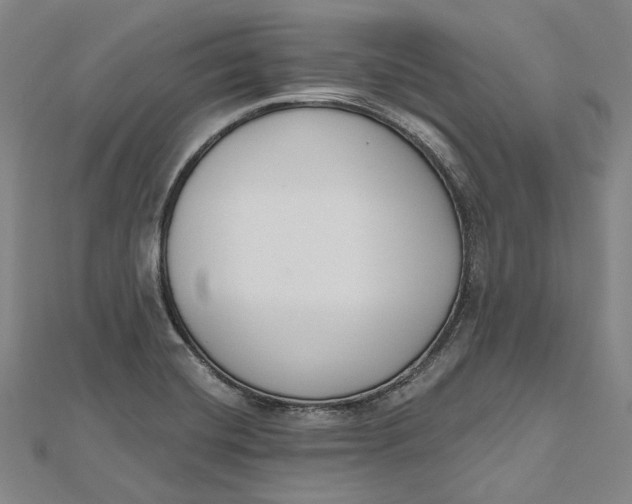 X0000112501420200908311443