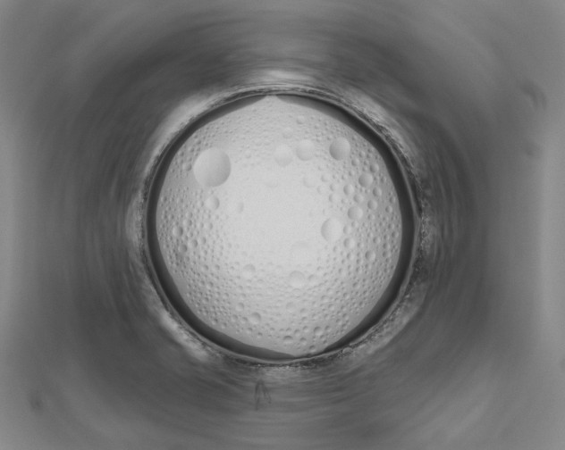 X0000112501421200908311443