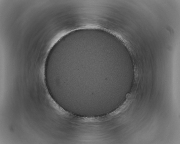 X0000112501422200908311443