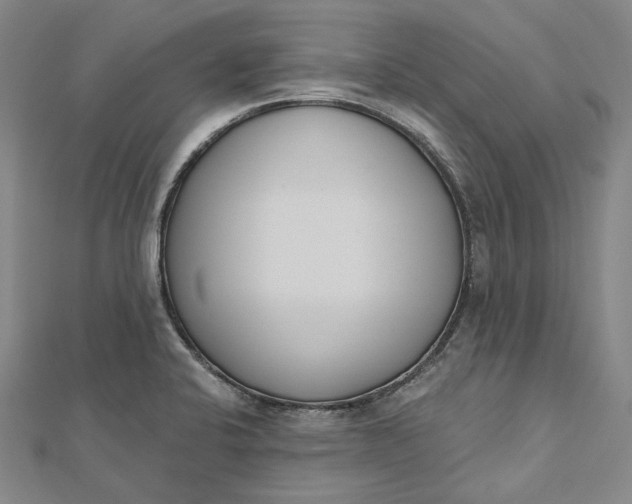 X0000112501424200908311443