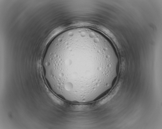 X0000112501425200908311443