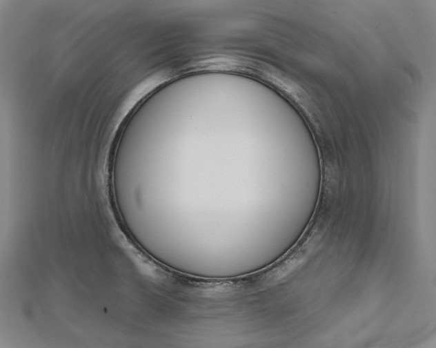 X0000112501426200908311443