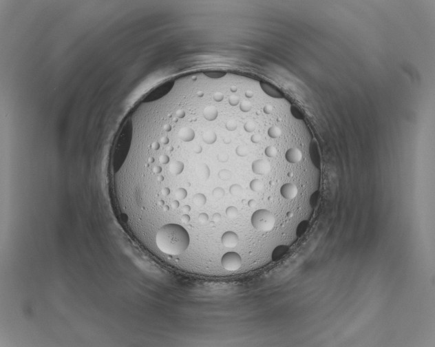 X0000112501427200908311443