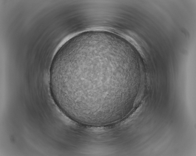 X0000112501428200908311443