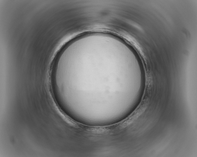 X0000112501429200908311443