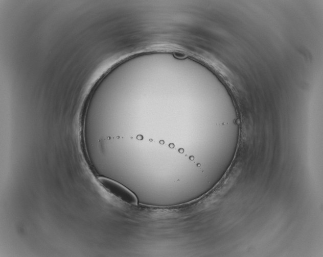 X0000112501430200908311443