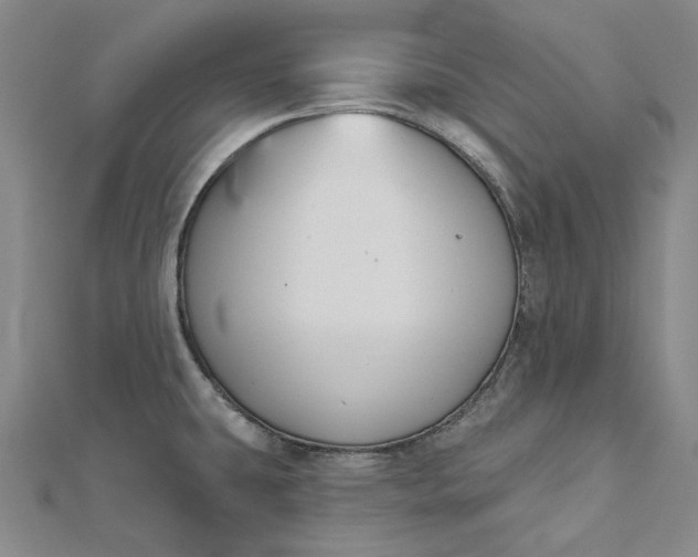 X0000112501431200908311443