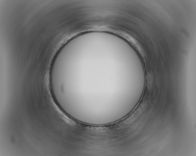 X0000112501432200908311443