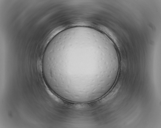 X0000112501433200908311443