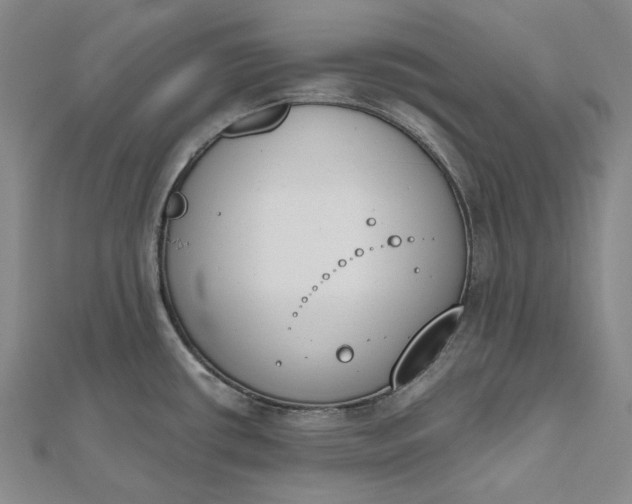 X0000112501434200908311443