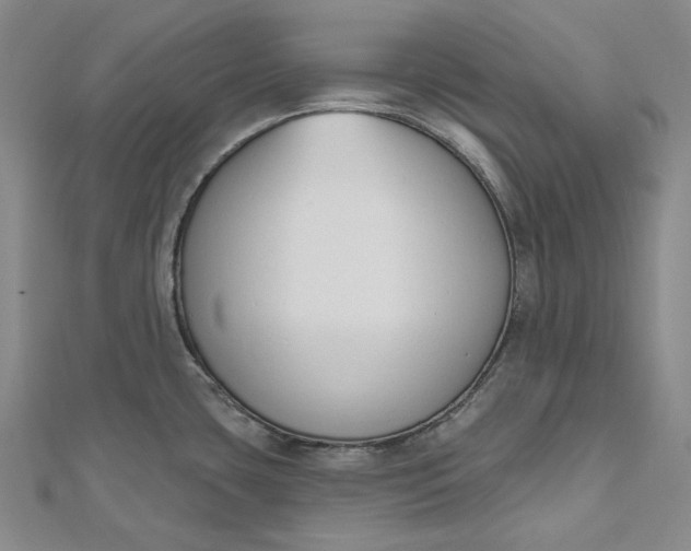 X0000112501435200908311443