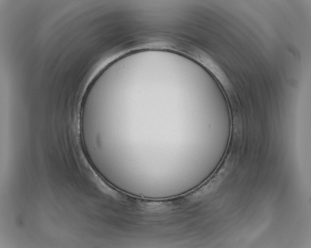 X0000112501436200908311443