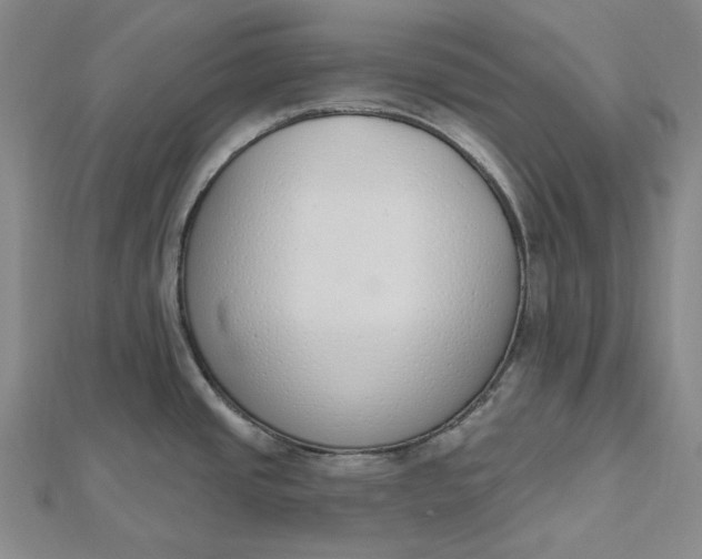 X0000112501437200908311443