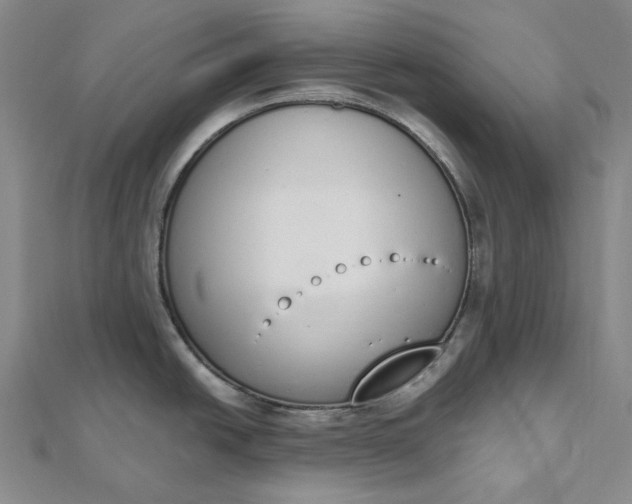 X0000112501438200908311443