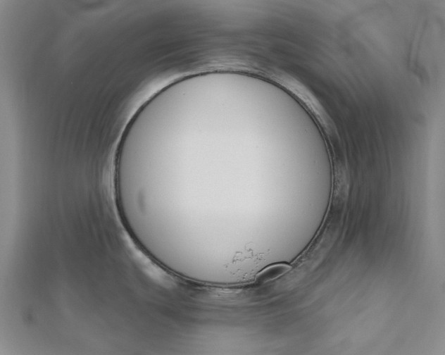 X0000112501439200908311443