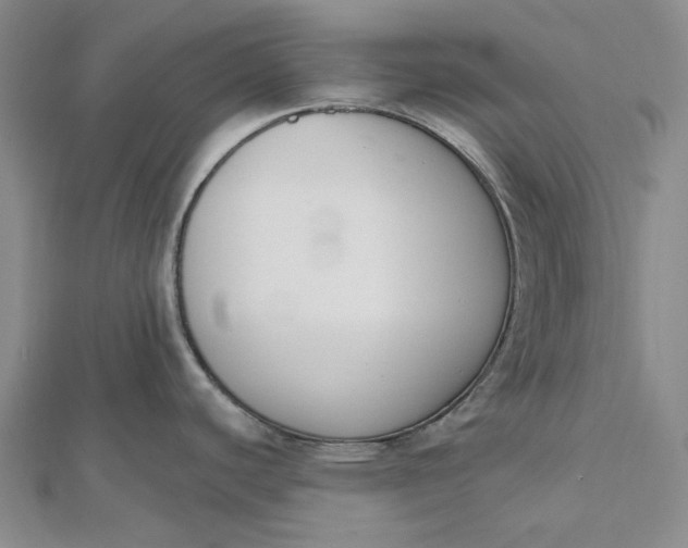 X0000112501440200908311443