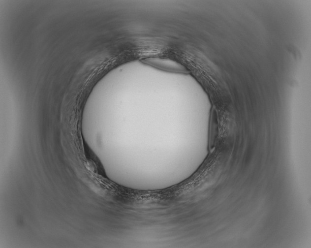 X0000112501441200908311442