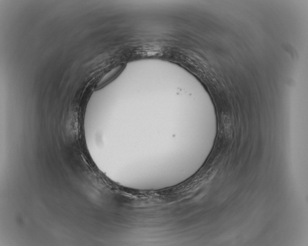 X0000112501442200908311442