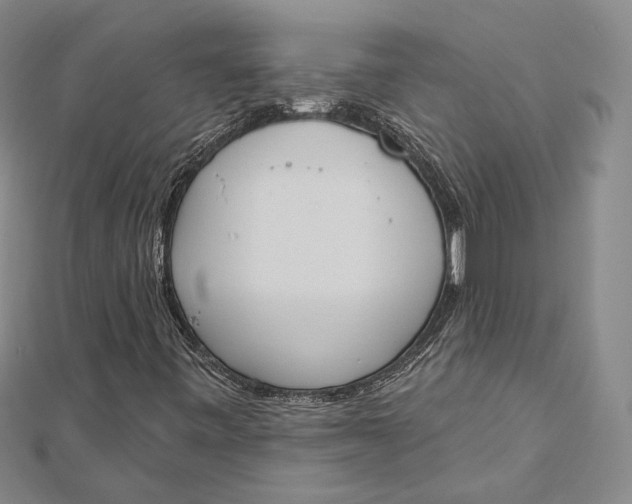 X0000112501443200908311442