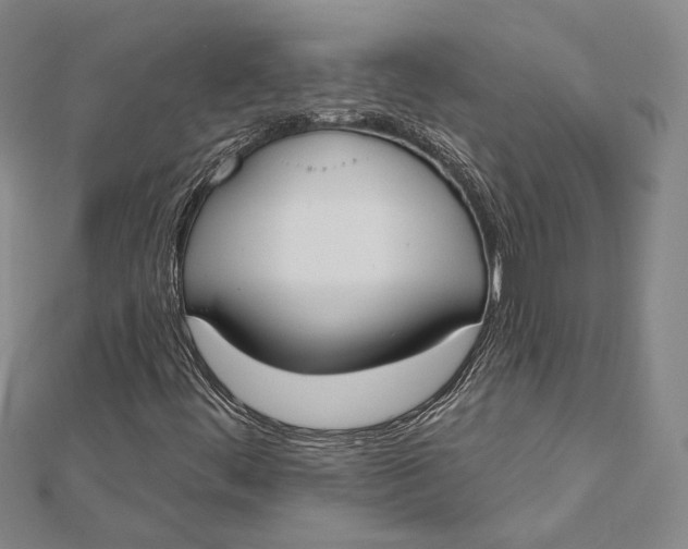 X0000112501444200908311442