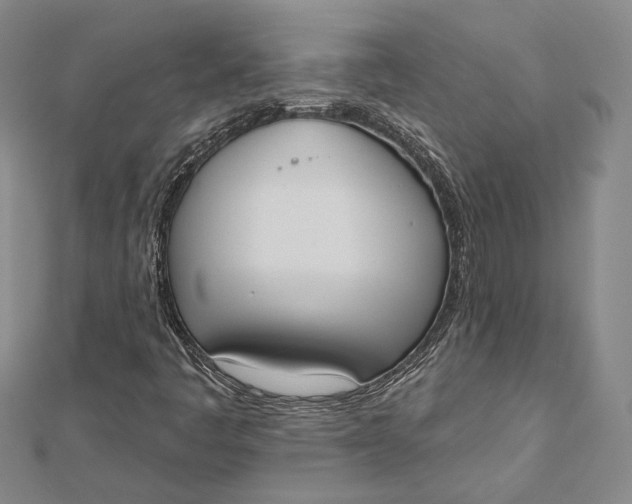 X0000112501445200908311442