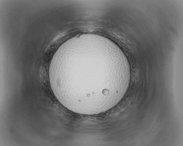 X0000112501446200908311442