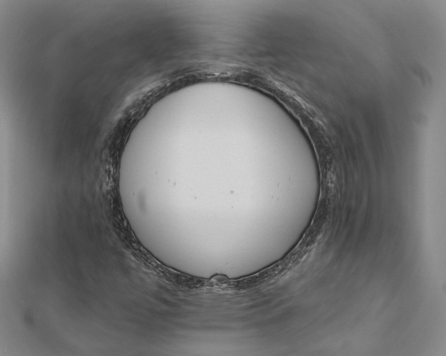 X0000112501447200908311442