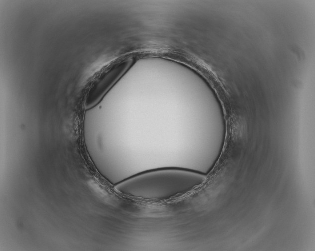 X0000112501448200908311442